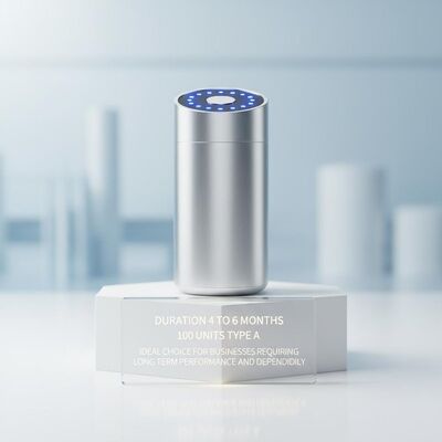 Duração de 4 a 6 meses 100 unidades Tipo A Opção ideal para empresas que exigem desempenho e fiabilidade a longo prazo